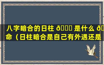 八字暗合的日柱 💐 是什么 🌸 命（日柱暗合是自己有外遇还是配偶有外遇）